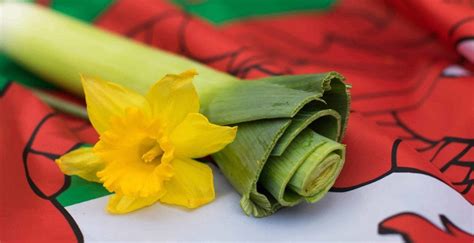 The Leek - National Emblem of Wales and the Welsh