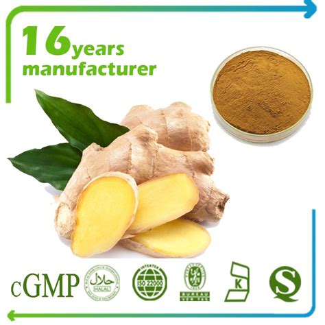 Ginger Root Extract 10:1 TLC – Hongda Online – More than 20 years herb extract manufacturer