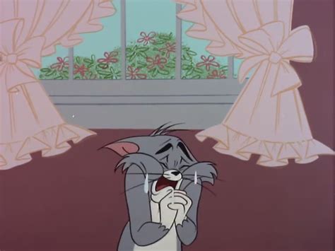 30+ Crying Tom And Jerry Reaction Meme