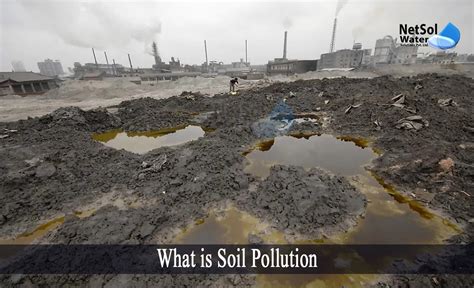 What is Soil Pollution || Types of Soil Pollution - Netsol Water