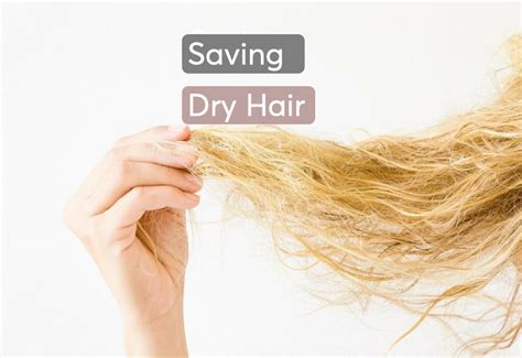 Best Treatments For Dry, Damaged Hair | MDhair