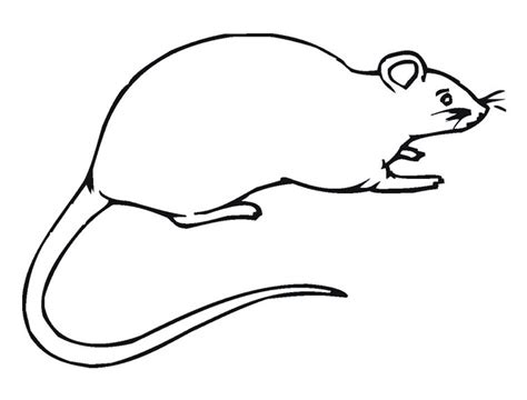 Pin on Animal Coloring Pages