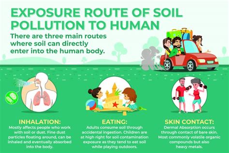 Exposure Route of Soil Pollution to Humans - Anderson Engineering