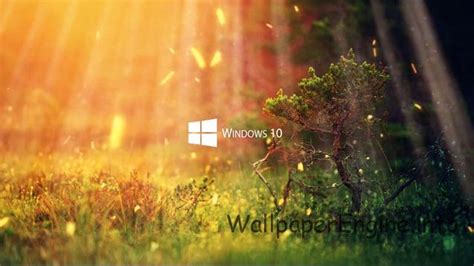 Живые обои Nature 1080P - Windows 10 Series - Wallpaper Engine