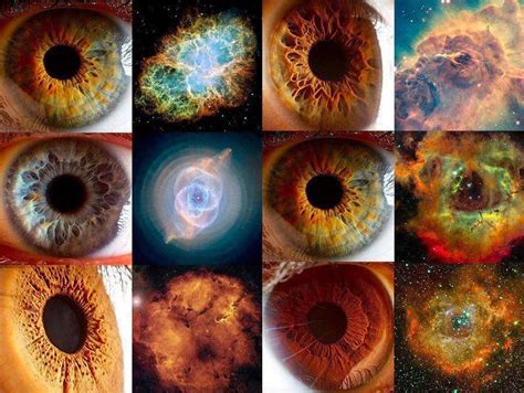 Pin by Angie Simons on colors & curves | Human eye, Patterns in nature, Galaxies