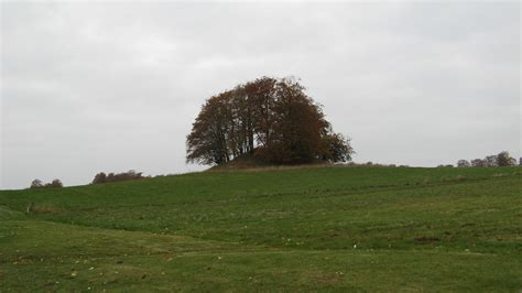 Ancient Viking burial mound, Denmark – photo (c) Nilambri Ghai – Montréal Serai