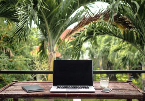 Why you Should Add Some Nature to your Office | Monarch Basics