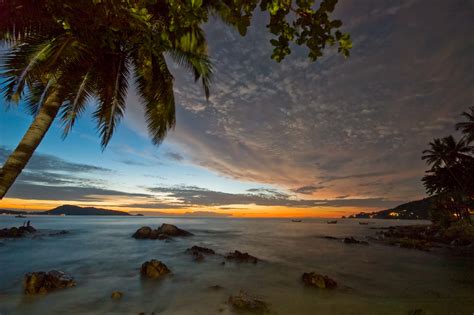 File:Palm tree at dawn, Patong beach.jpg