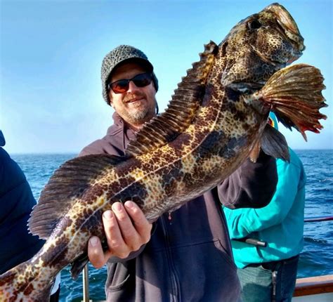 Anglers reeling in large ling cod | Fish Rap – Santa Cruz Sentinel