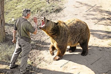 Bear eating man | Flickr - Photo Sharing!