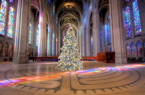 14 Christmas Tree Lightings In San Francisco In 2024