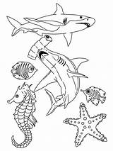 Printable Ocean Coloring Pages sketch template