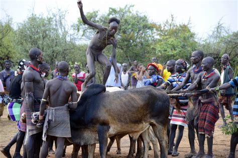 Hamar Tribe Bull Jumping Ceremony 2021 - AMAN ETHIOPIA TOURS