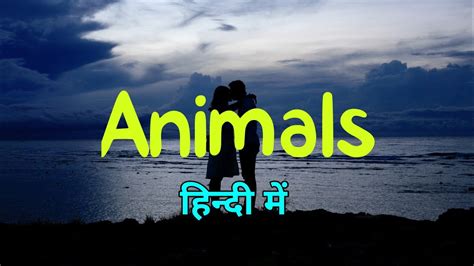 Animals - Maroon 5 || Animals Song In Hindi || Animals Song Lyrics || English Songs In Hindi ...