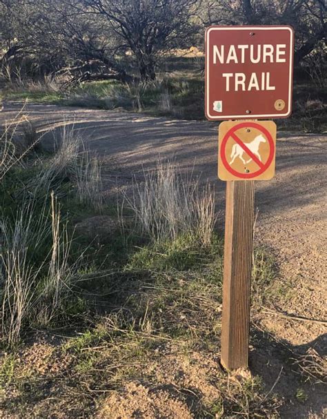 Catalina State Park: Hiking & Camping Guide | TucsonTopia