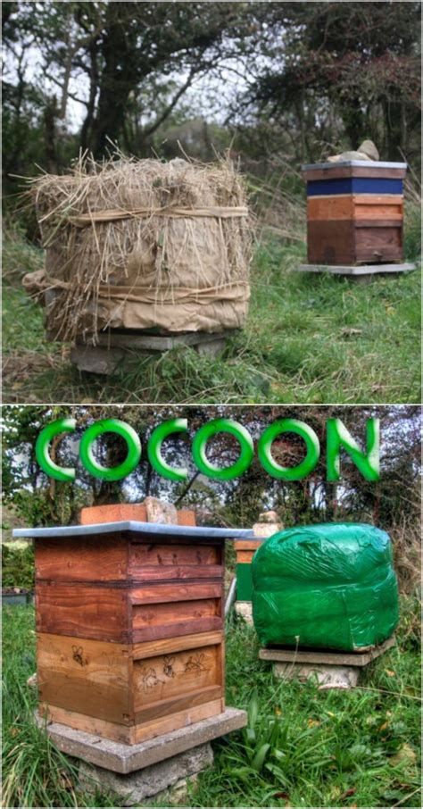 10 DIY Beehives You Can Add To Your Backyard Today - DIY & Crafts