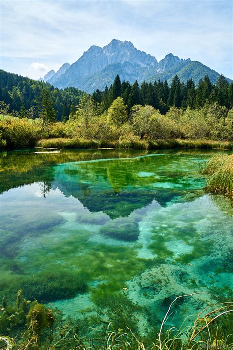 Lake Zelenci | Zelenci Nature Reserve, Slovenia | Matt Pacholka Photography