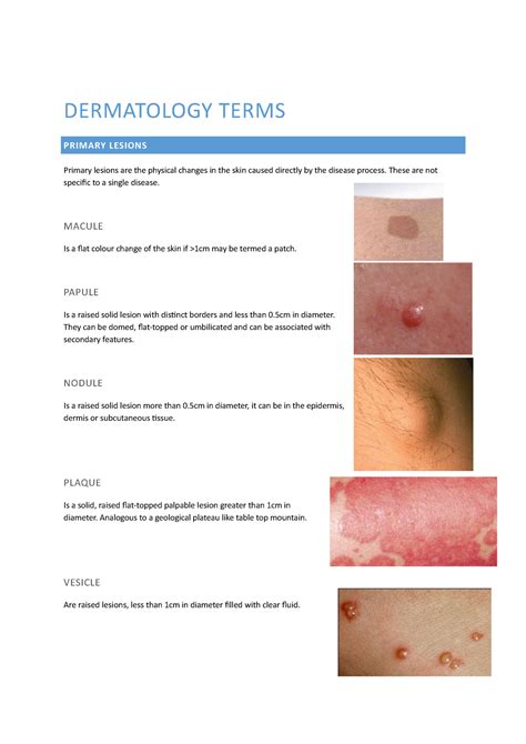 Dermatology terms - derm - DERMATOLOGY TERMS PRIMARY LESIONS Primary lesions are the physical ...