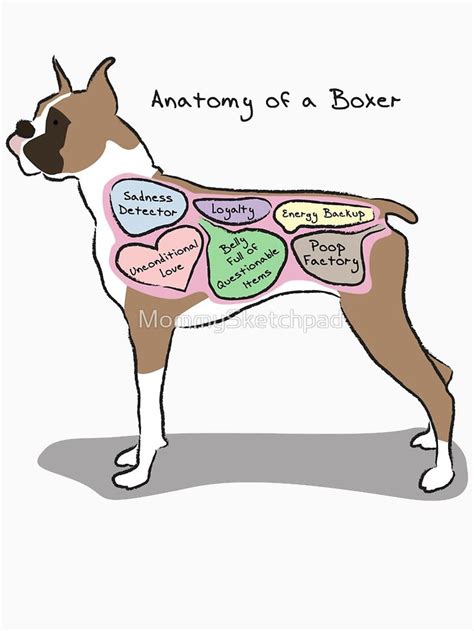 Anatomy of a Boxer Essential T-Shirt by MommySketchpad | Boxer dog puppy, Boxer, Boxer breed