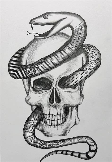 Even Evil can be Beautiful | Skull and Snake | Zentangle | Snake sketch, Animal paintings ...