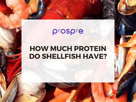 How Much Protein Do Shellfish Have?