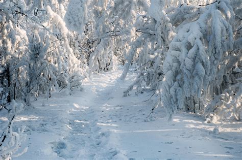 The Siberian winter. by box426 on DeviantArt