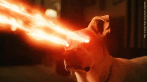 Laser Eyes Gif Meme We ve rounded up 70 of the best gifs and animated emojis to use for free