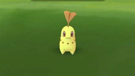 Pokemon Go Adds Shiny Chikorita to Community Day