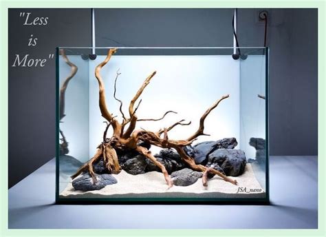 Hardscape Aquascape | Aquarium Setup Ideas Aquascaping | Aquarium setup, Aquascape aquarium ...