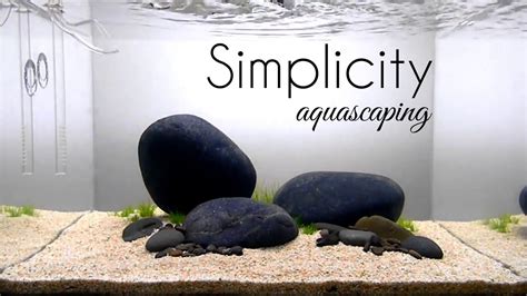 Aquascaping GAME OF RIVER STONE (SIMPLICITY) - YouTube