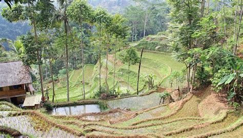 Kampung Naga, simple village guardian of traditions and ancestral culture - OBSERVER - the ...