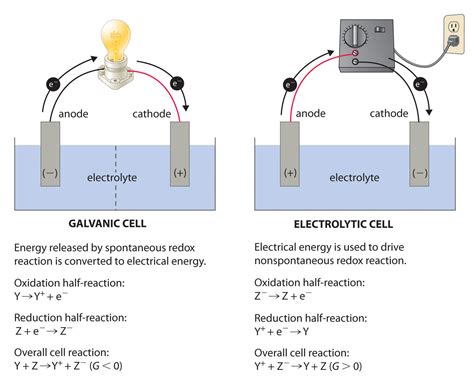 physical chemistry - Positive or Negative Anode/Cathode in Electrolytic/Galvanic Cell ...