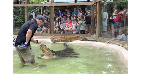 Wild Florida hosts 4th Annual Gator Week promoting alligator conservation & family fun