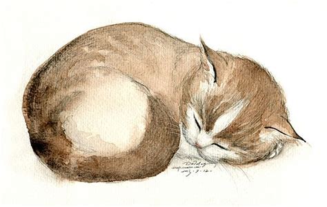 Pin by Shaundi Boyce on Makes me smile | Watercolor cat, Sleeping drawing, Cat drawing