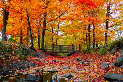 Beautiful Fall Foliage In The Northeast Usa Stock Photo - Download ...