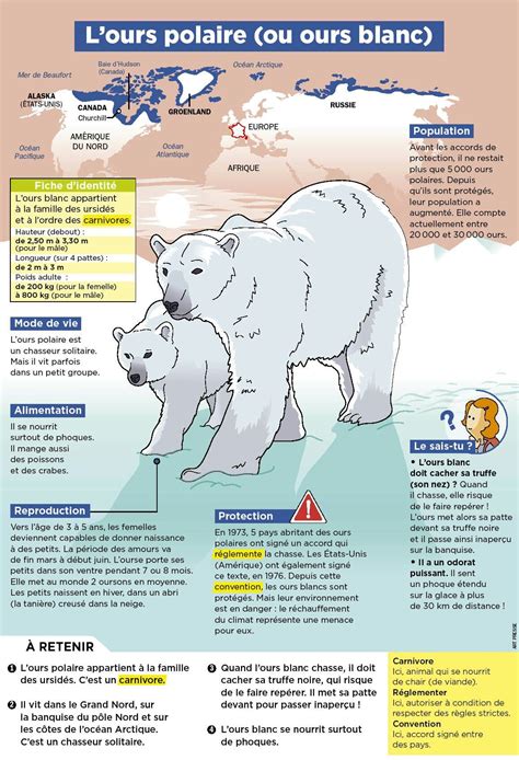 Sont déprimés étreinte la construction navale document sur l ours ...