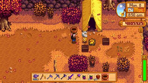 How To Find Linus' Basket in Stardew Valley | VGKAMI