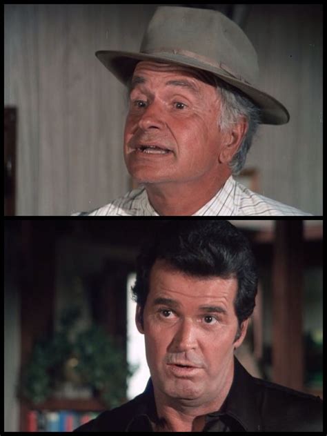 Rockford Files 1974-1980 From: "The Family Hour" episode. | James garner movies, Old hollywood ...