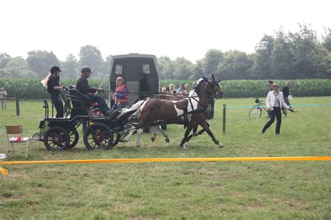 20140713-1046-23 | Horse and Carriage Driving Competition 20… | Flickr