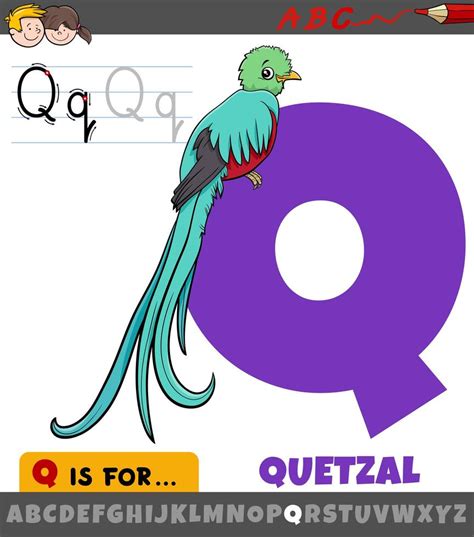 Letter Q from alphabet with quetzal bird character 1591704 Vector Art ...