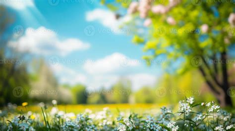 Nature Spring Background Stock Photos, Images and Backgrounds for Free Download