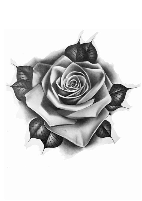 Watercolor Rose Tattoos, Rose Drawing Tattoo, Flower Tattoo Drawings, Roses Drawing, Flower ...