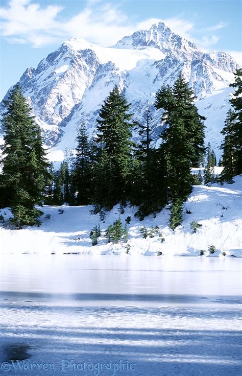 Mt. Shuksan - Winter photo WP04604