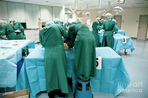 Surgical Training Session #1 Photograph by Arno Massee/science Photo ...