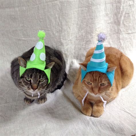 Birthday Party Hat For Cats ANY COLOR