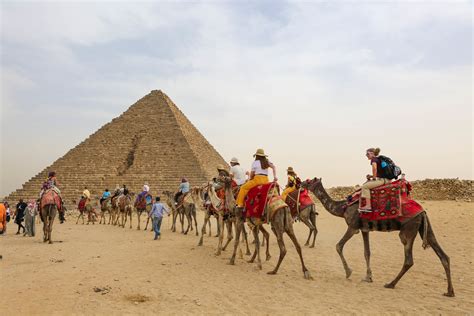 Yalla Yalla! Tourism Students Take Egyptian Adventure | Johnson & Wales University