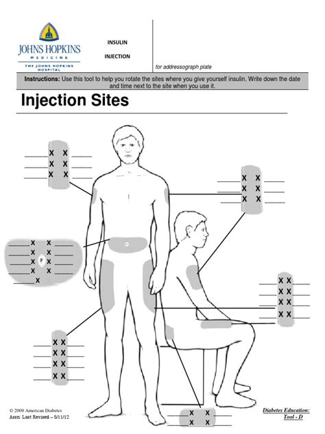 Insulin Injection Sites Diagram Printable