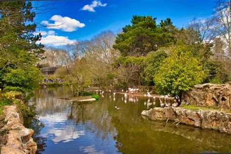 The Best Parks in Lyon, France