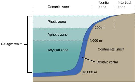 Aquatic and Marine Biomes · Concepts of Biology