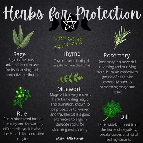 Protection herbs – Artofit